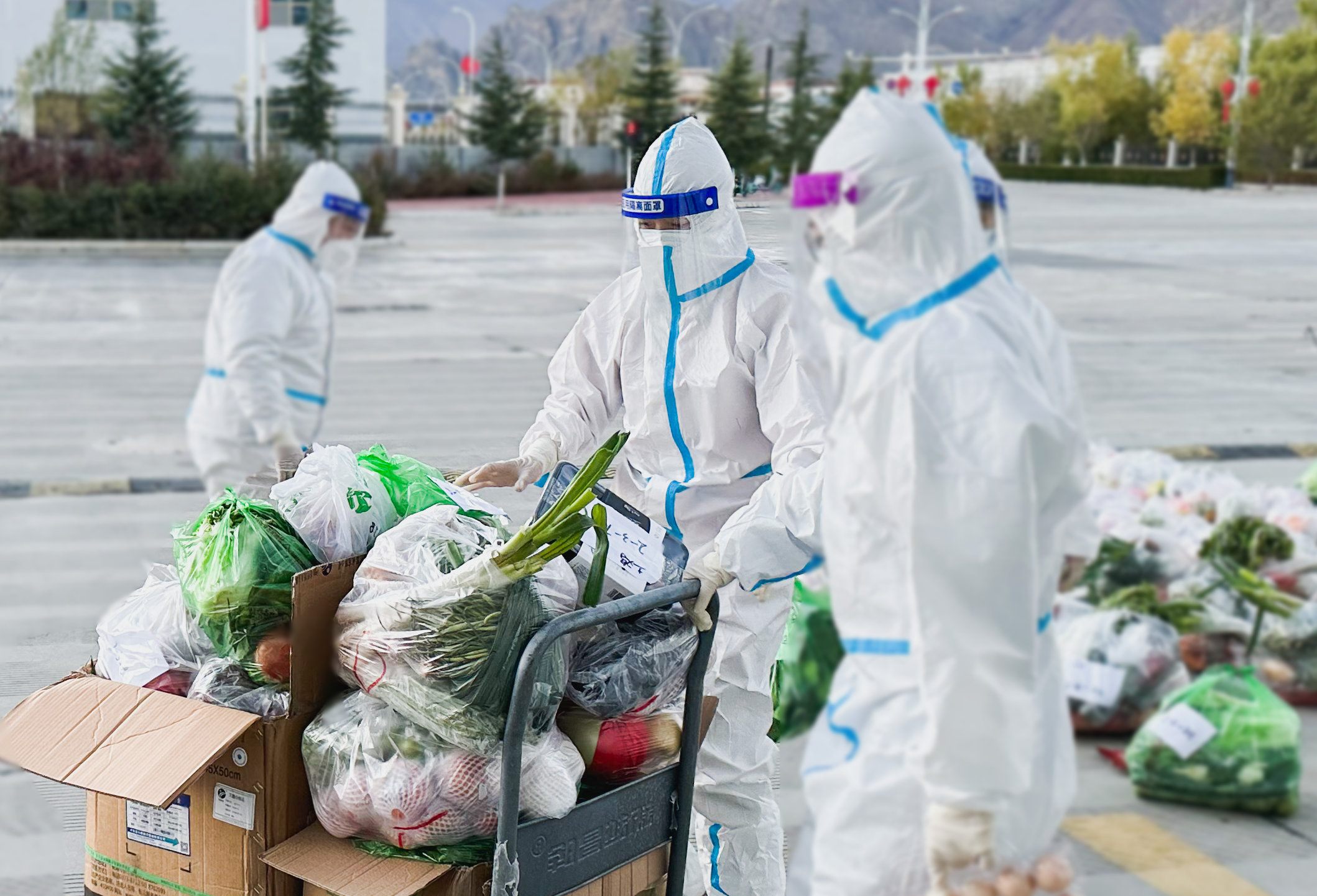 高争民爆 周梦蕊.PNG